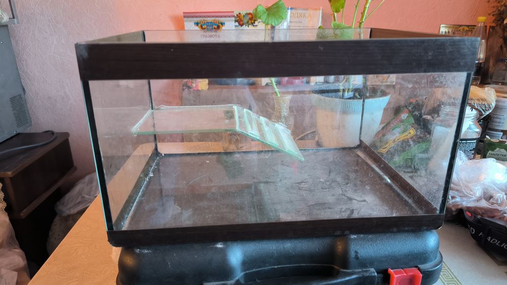 Акваріум для черепахи