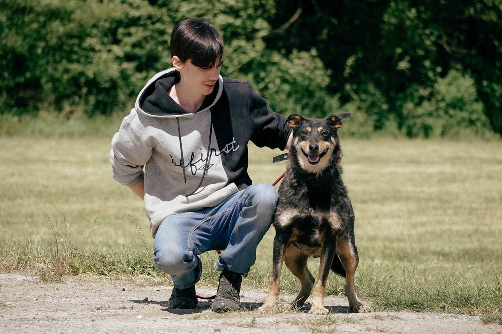 MANAT - śliczny, łagodny psiak prosi o dom