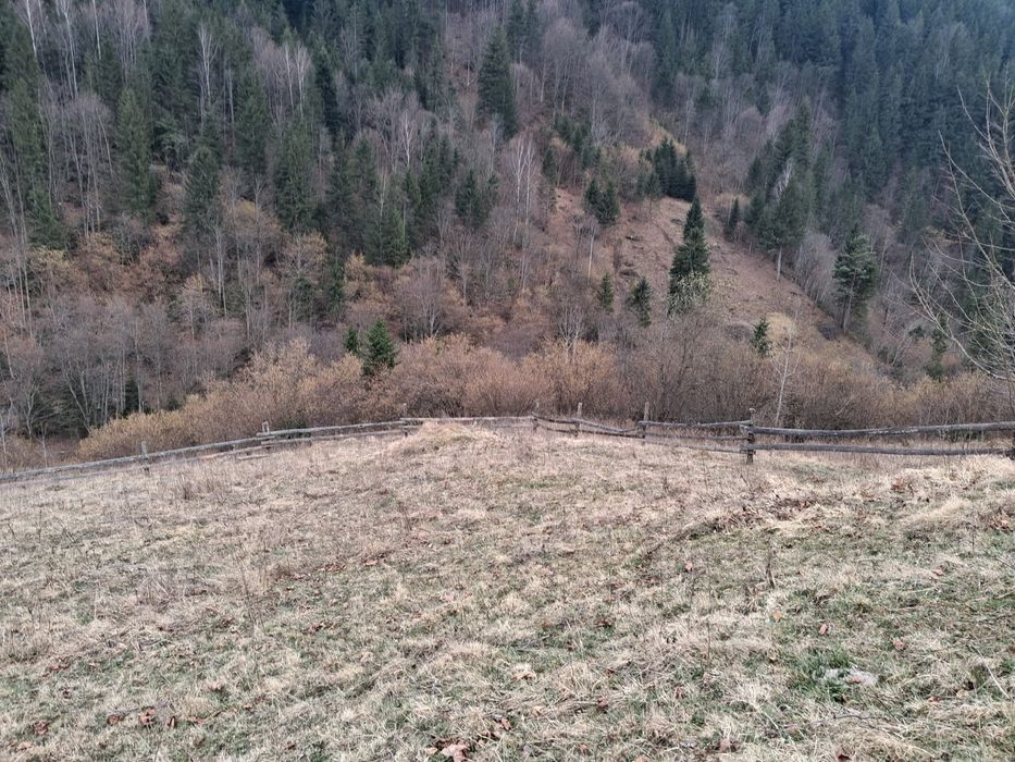 Земельна ділянка Криворівня