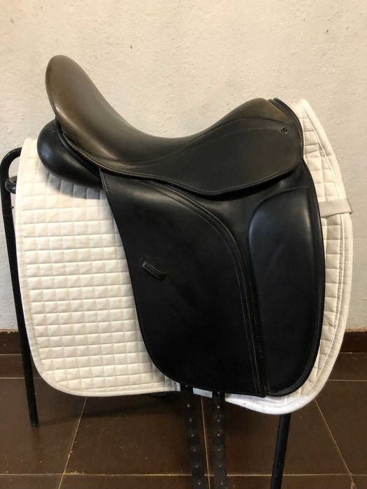 Sela County Perfection para ensino/dressage