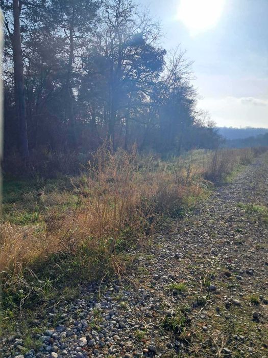 Продаж земельної ділянки під забудову в с.Бохоники 0962