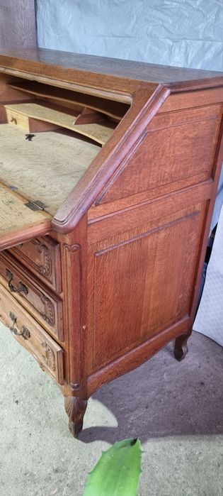 Skretarzyk Ludwikowski