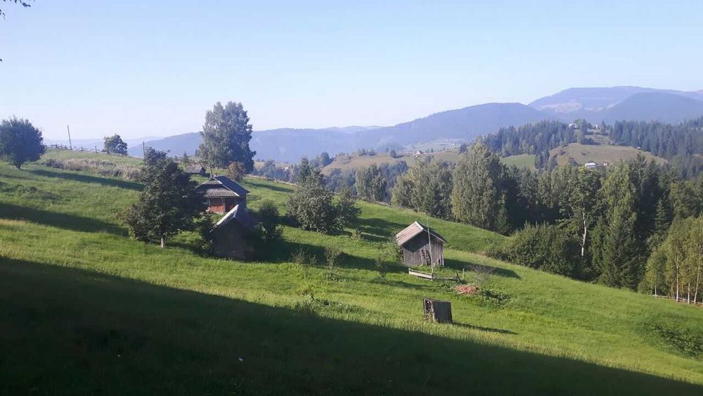 Продаж ділянки у Карпатах (Верховинський район)