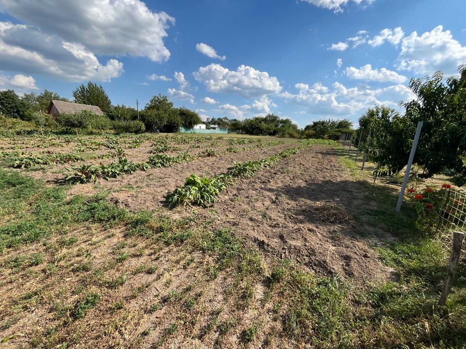 Приватизована земельна ділянка – 12 соток