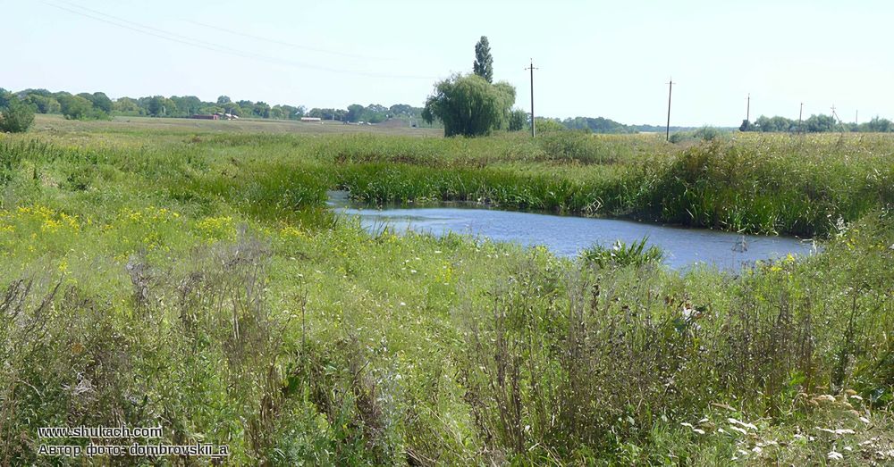 Продам 2 участка по 60 соток с. Соколово