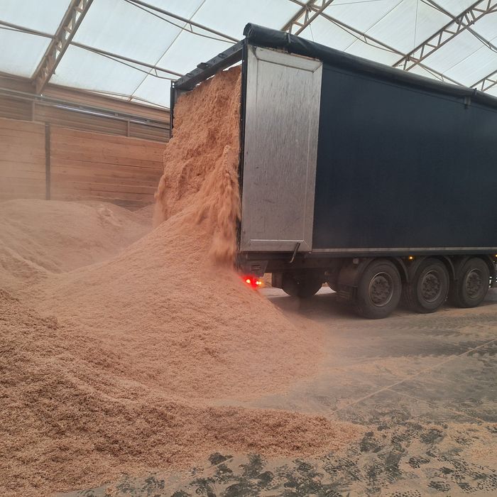 Skup trocin czystych,klocków zrzyn suchych