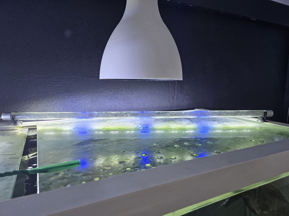Aquario 800 litros Completo