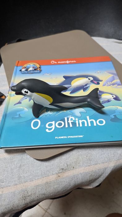 Livros com figuras