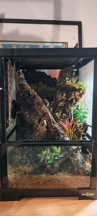 Sprzedam kompletne terrarium 30x30x45