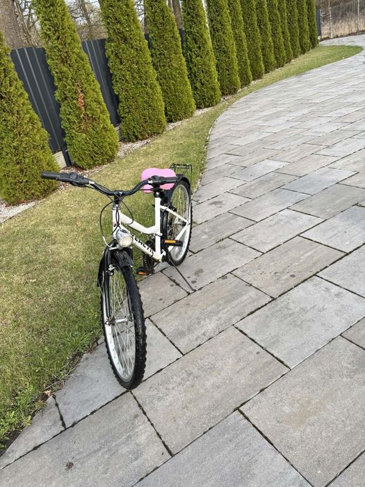 Rower  Reactia 24 koła