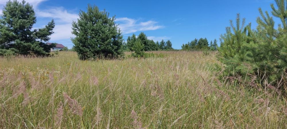 Продам земельну ділянку с. Литвинівка