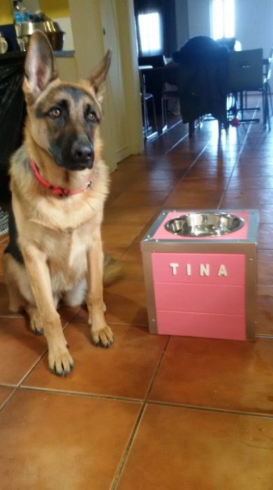 Casotas Balgaves - Abrigos personalizados