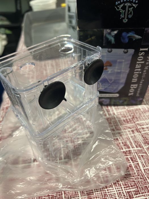 Maternidade peixes pequenos