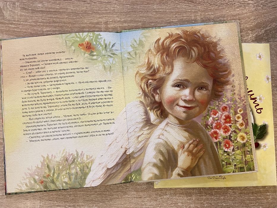 Мій ангелик Біда навчить комплект книг