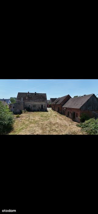 Siedlisko, działka 4181 m² z linią brzegową Ostrowite Prymasowskie - Widok 3