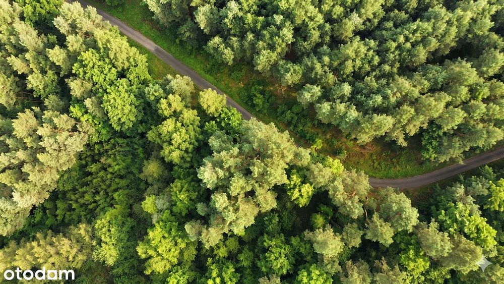 Działki rekreacyjne w lesie, na weekendowy odpoczynek-Dolnośląskie! - Widok 3
