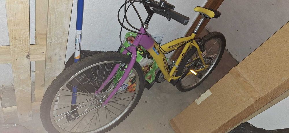 Bicicleta básica446761831803146240