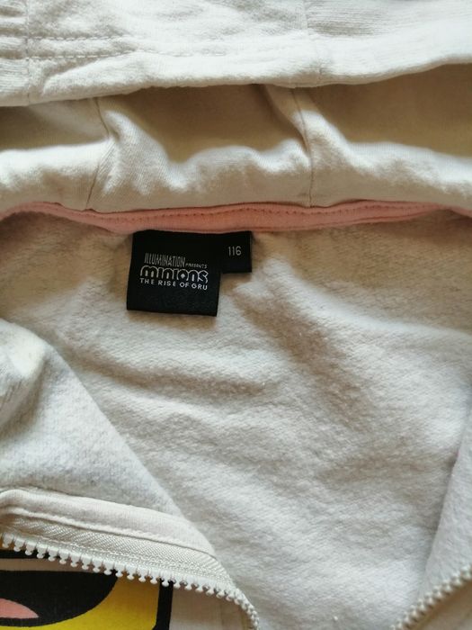 Bluza bawełniana z kapturem Minions 116 minionki