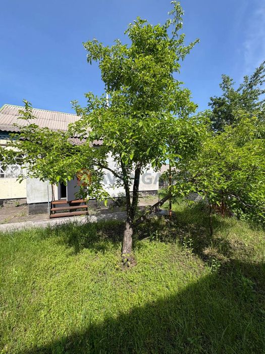 Продаж великого будинку в Карнаухівці