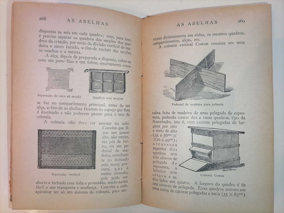 As Abelhas de Eduardo Sequeira