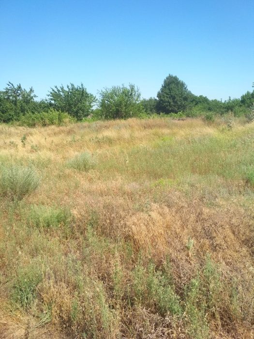 продам или обменяю на автомобиль участок земли под постройку дома