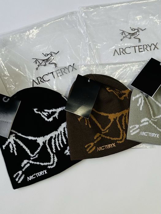 Шапка Arc’teryx Bird Head Toque y2k