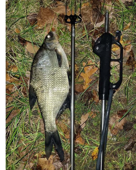 Подводное ружье на резиновых тягах