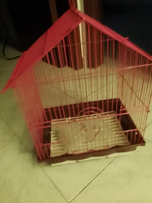 Gaiola em metal a vermelho