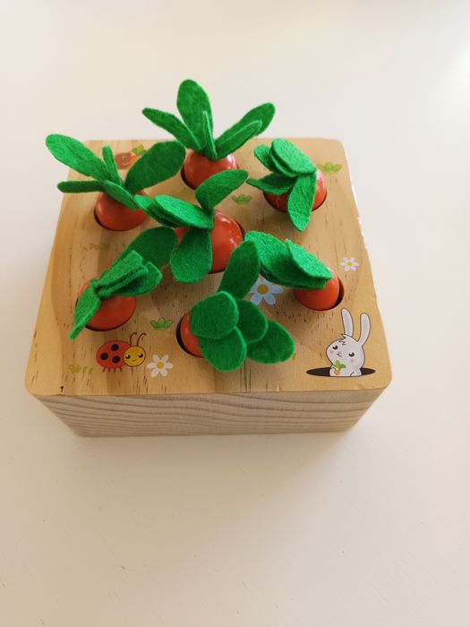 Carrot Harvest Game (Montessori)