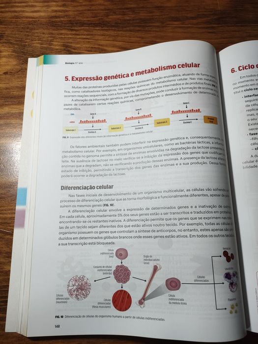 Livro de exame de biologia e geologia 2024 (Porto Editora)