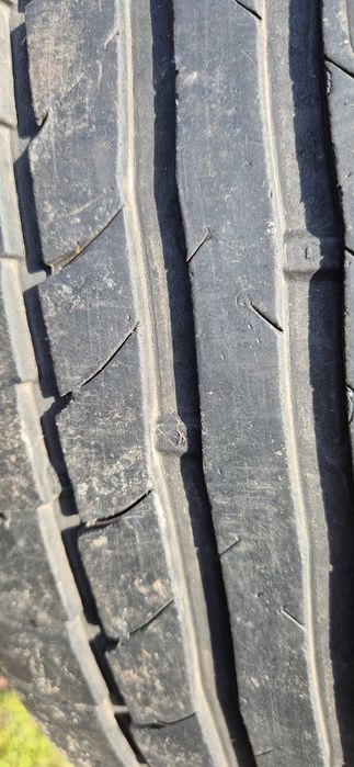 Opony letnie Dębica