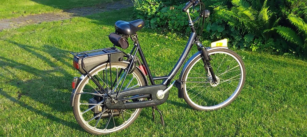 Rower spalinowy Companion z silnikiem SACHS 301a 30cm3