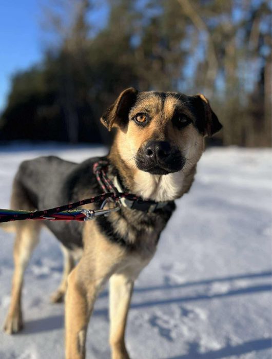 Proludzka Kiwi do pokochania!