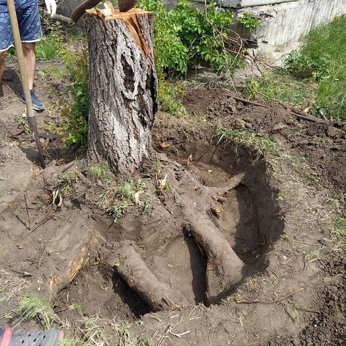 Расчистка Уборка участка Покос бурьяна / CПИЛ деревьев Выкорчевка