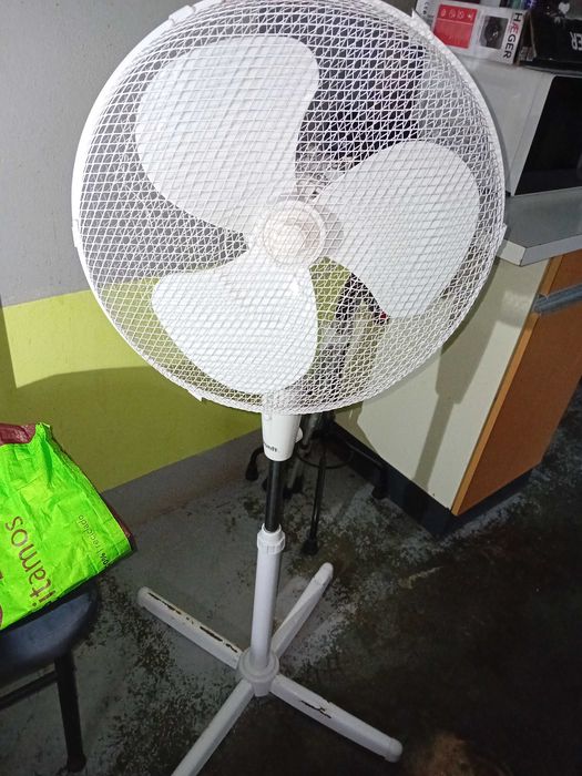 Disp. Ventoinha, bengalas, muletas, e restante