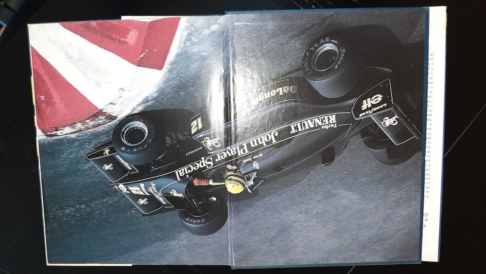 Ayrton Senna - Em memória