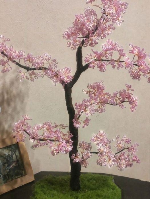 Drzewko sakura bonsai.