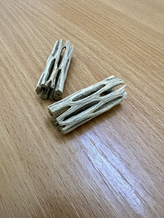 Трубки Кактуса Чола в акваріум