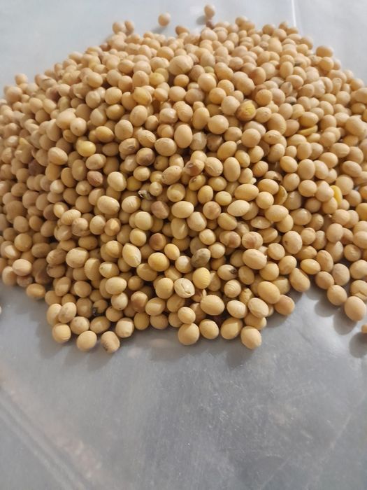 Соя харчова для приготування