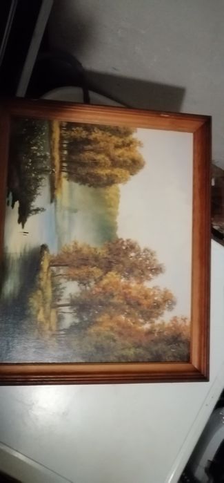 Obraz jezioro i drzewa