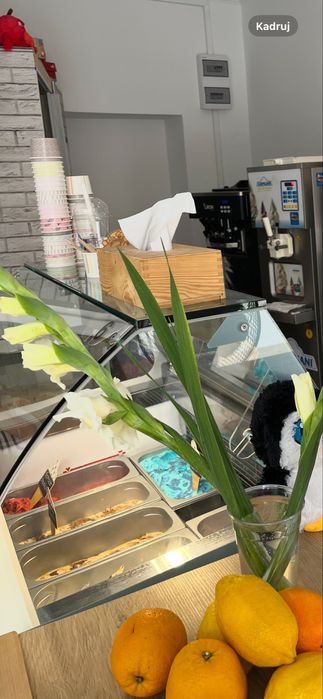 Witryna do lodów Juka Tofino 7 kuwet