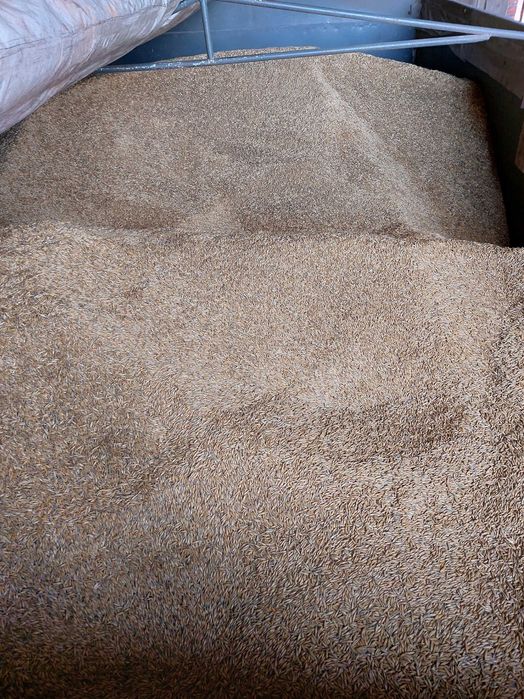 Owies Refleks na paszę opał czyszczony alternatywa pellet