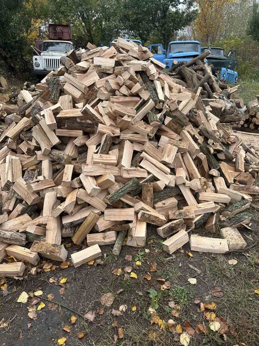 Продам дрова твердих порід