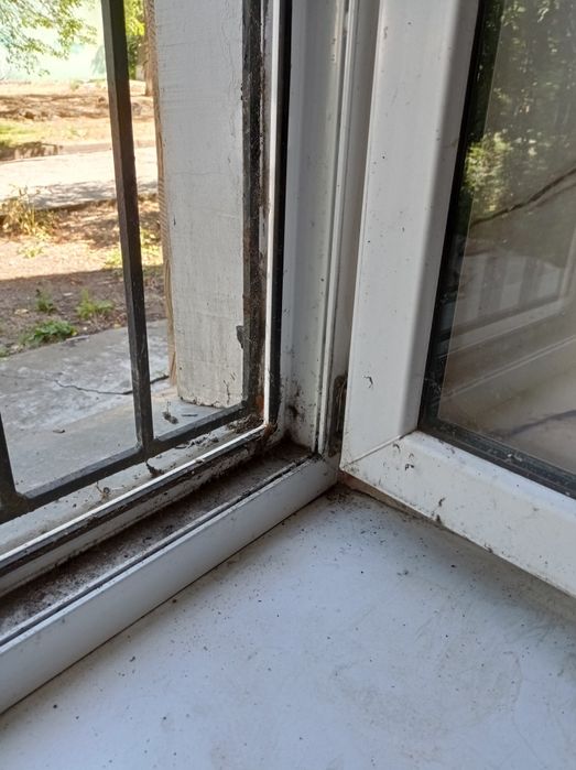 Прибирання будинків та квартир | Помічниця для родини