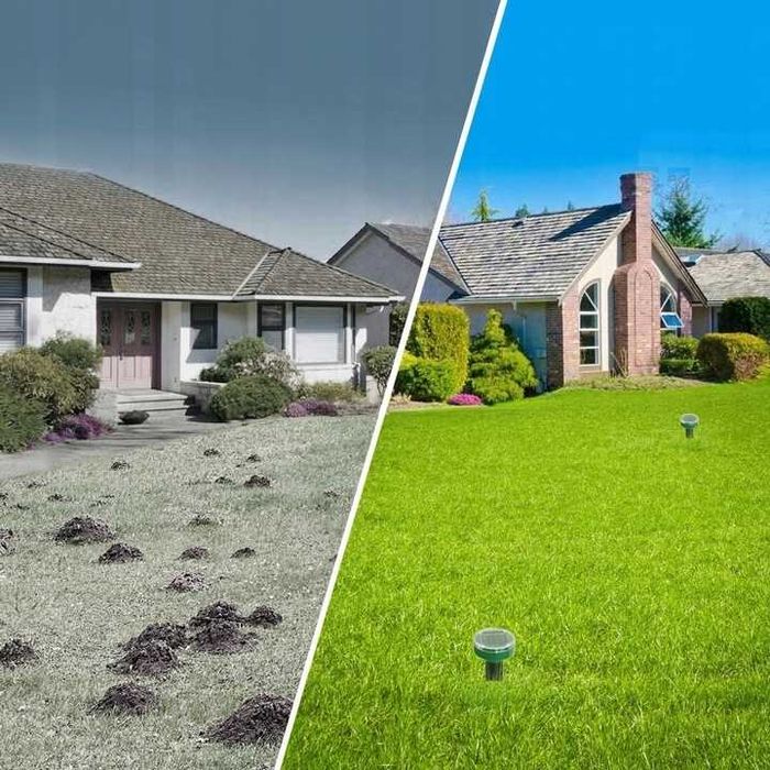 4X odstraszacz na krety kuny nornice myszy gryzoni solarny silny