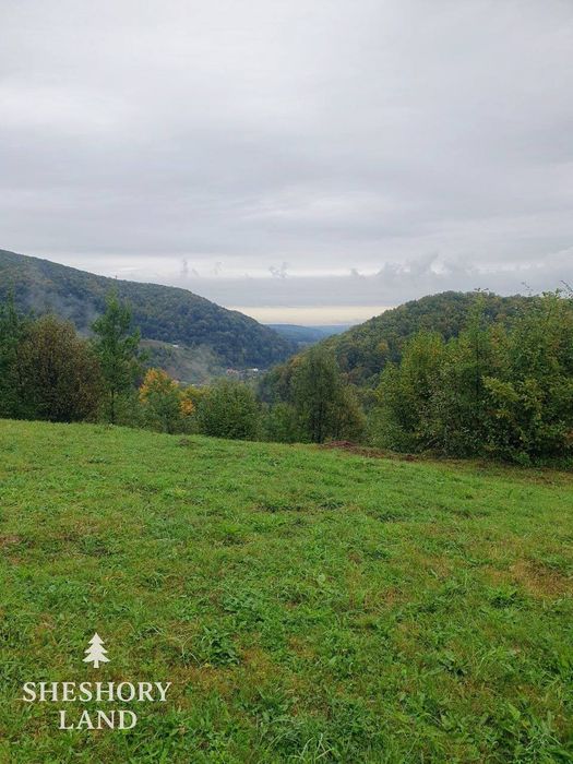 Будинки та земельні  ділянки в Шешорах