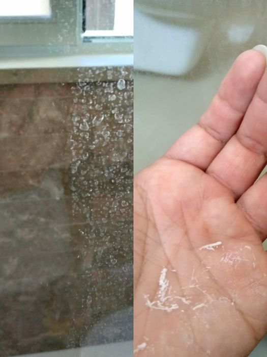 Cleaning and Other Services