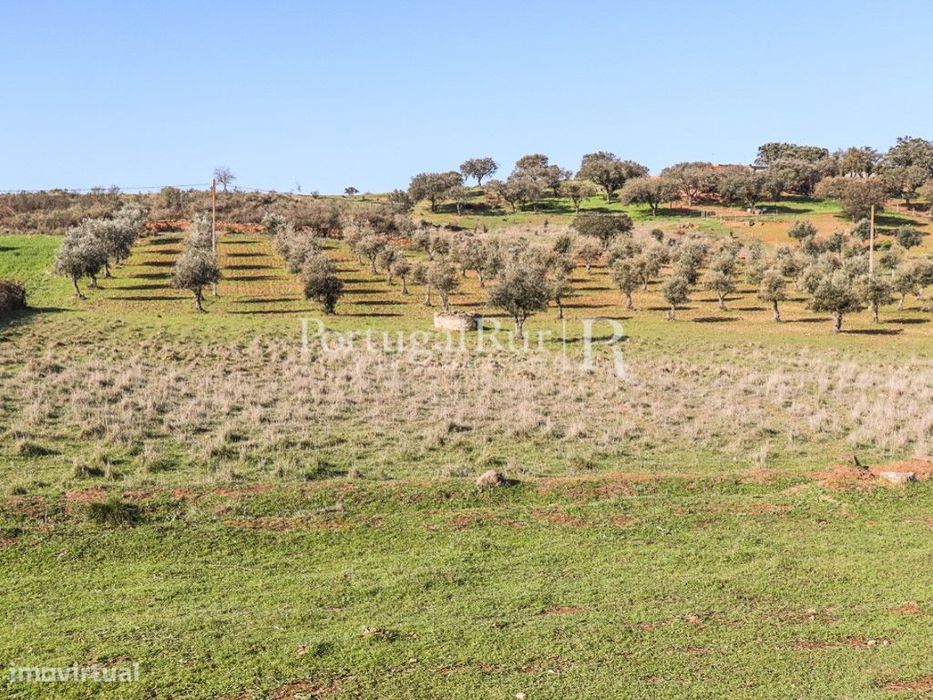 Terreno com cerca de 1,3Ha localizado próximo de Terena, Alandroal