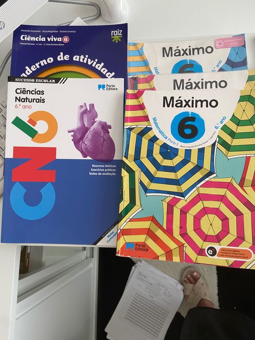 Livros escolares 6 ano