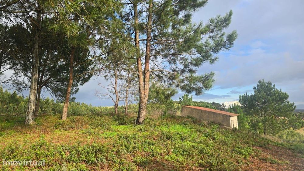 Prédio Misto com poço e pinhal, Outeiro do Bacio / Malhadas – Ramalhal